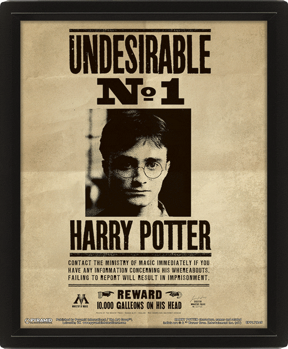 Постер в рамке 3D Harry Potter (Potter / Sirius)