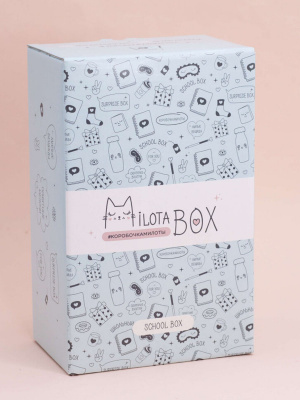 Подарочный набор MilotaBox mini "School"