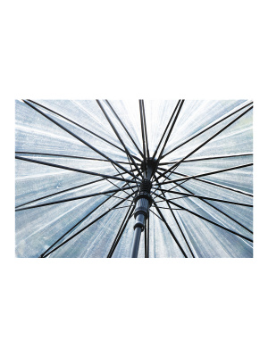 Зонт-трость прозрачный купол черный