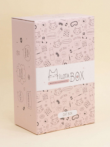Подарочный набор MilotaBox mini "Cat"