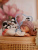 WvX8kK261s.jpg WvX8kK261s.jpg