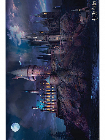 Постер Harry Potter (Hogwarts)