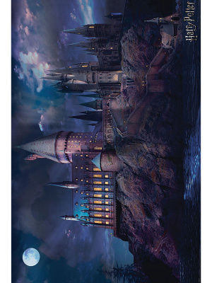 Постер Harry Potter (Hogwarts)