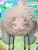 u72KZ8q3Vz.jpg