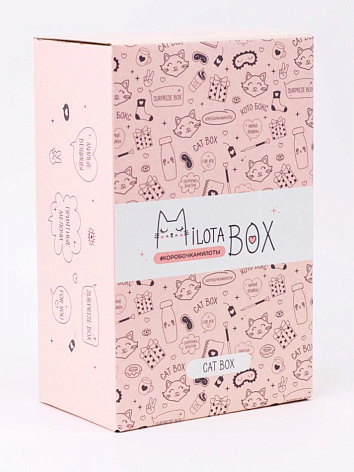 Подарочный набор MilotaBox mini "Cat"